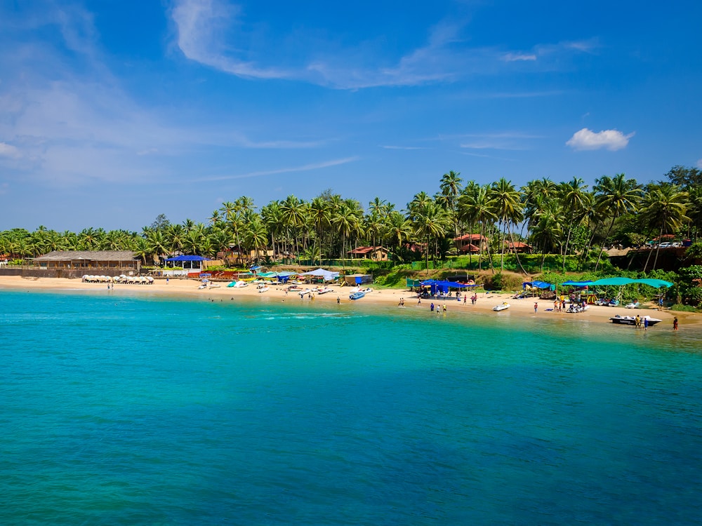Palm-lined coast of Goa